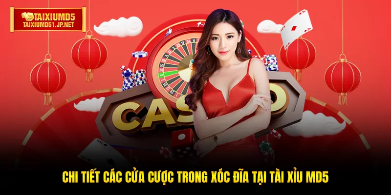 Chi tiết các cửa cược trong Xóc Đĩa tại Tài Xỉu MD5