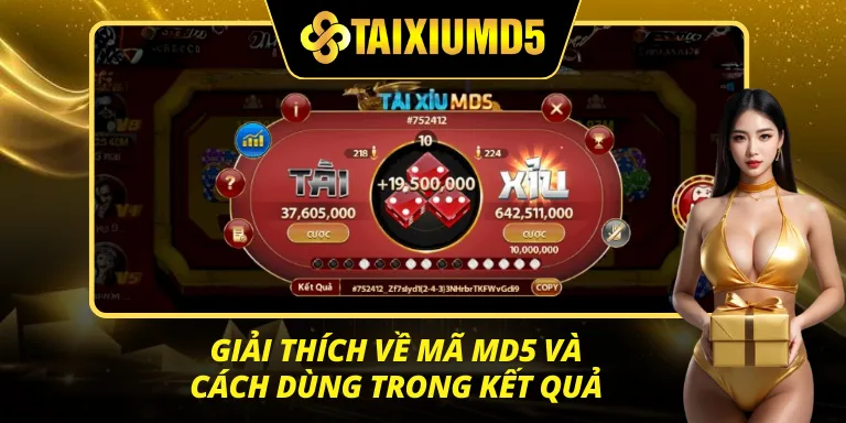 giải mã về md5 và cách áp dụng trong kết quả